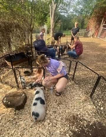 Children sitting with a pig on the farm