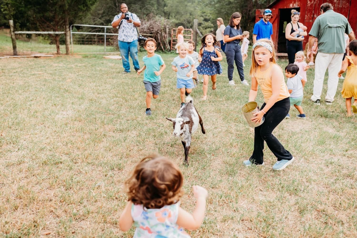 children-playing-animals